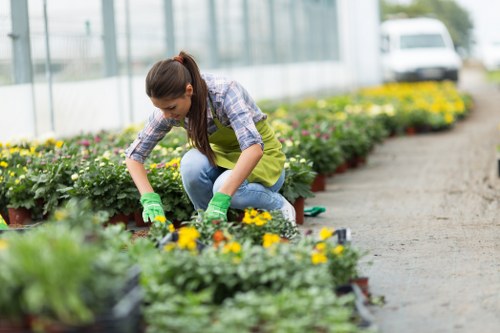Gardeners Chalk Farm introduction with urban garden care and greenery