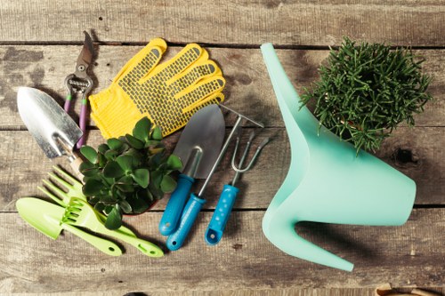 Reliable garden maintenance and plant care in Chalk Farm