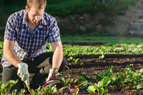 Low-carbon van used for sustainable garden waste collection