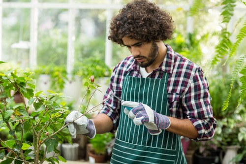Gardening services in Chalk Farm for a neat and attractive urban garden