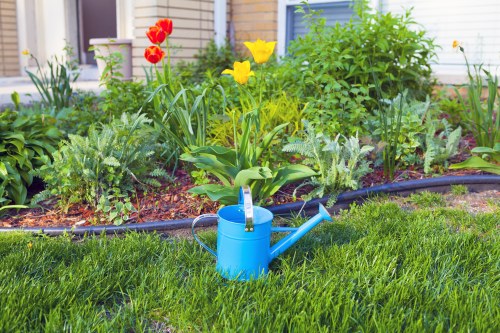 Garden maintenance work in a Chalk Farm outdoor space