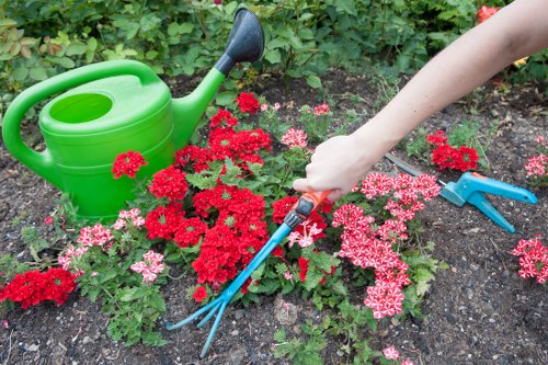 Courtyard garden maintenance in Chalk Farm
