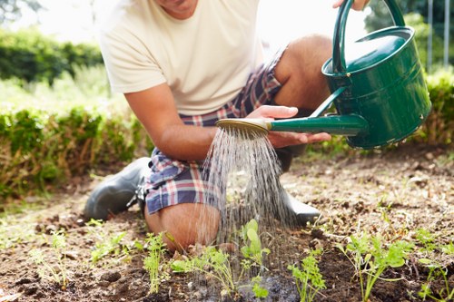 Gardeners Chalk Farm maintaining a city garden in a residential outdoor space