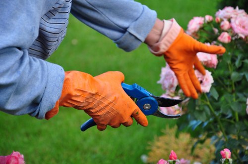 Visual for keyboard navigation support on the Gardeners Chalk Farm website