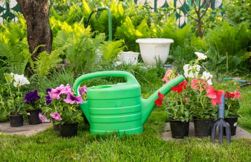 Professional gardening services in Chalk Farm for lawn and border maintenance