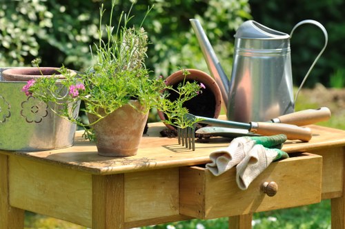 Local gardener providing garden care in Chalk Farm with seasonal planting