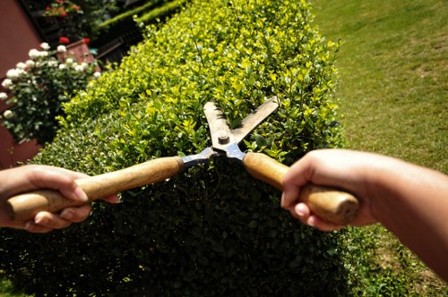 Reusable garden items prepared for charity donation
