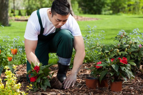 A lawn mowing service working on a small urban garden in Chalk Farm