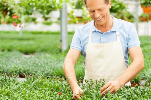 Tidy planted borders and lawn care in Chalk Farm