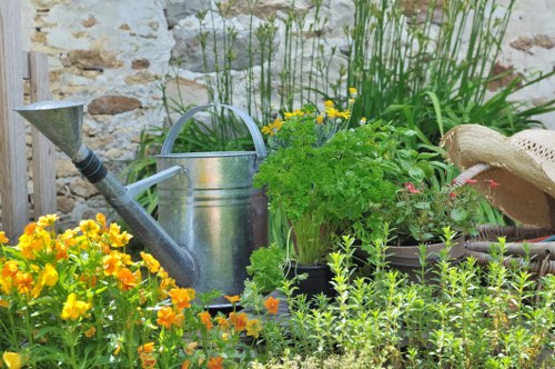 Chalk Farm garden maintenance service for residential and rental properties