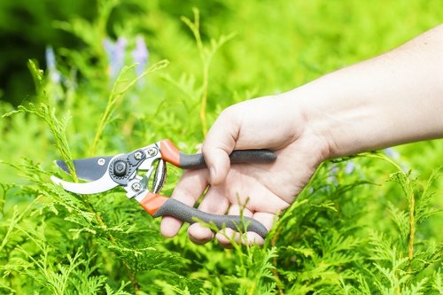 Local transfer station handling recyclable garden materials