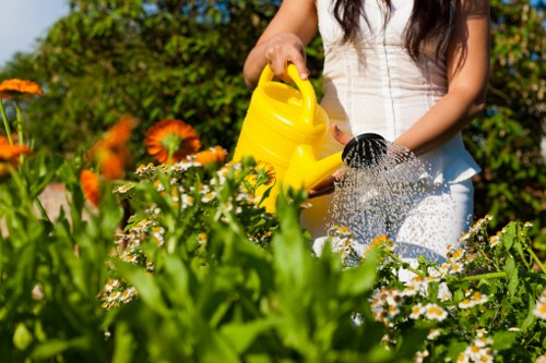 Garden quote explained for a property with limited access in Chalk Farm