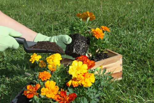 Professional gardeners assessing risks in a landscaped garden