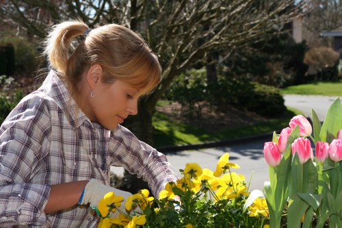 Urban garden maintenance in Chalk Farm with flowers and shrubs