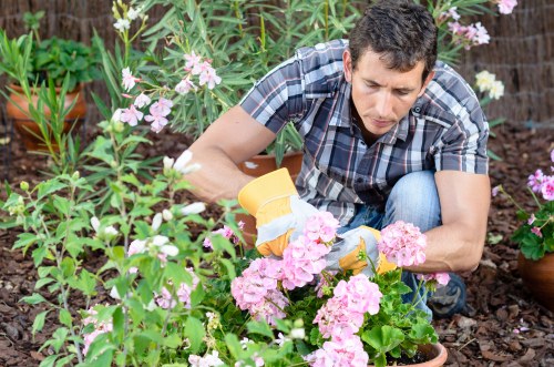 Urban garden landscaping features suited to Chalk Farm homes