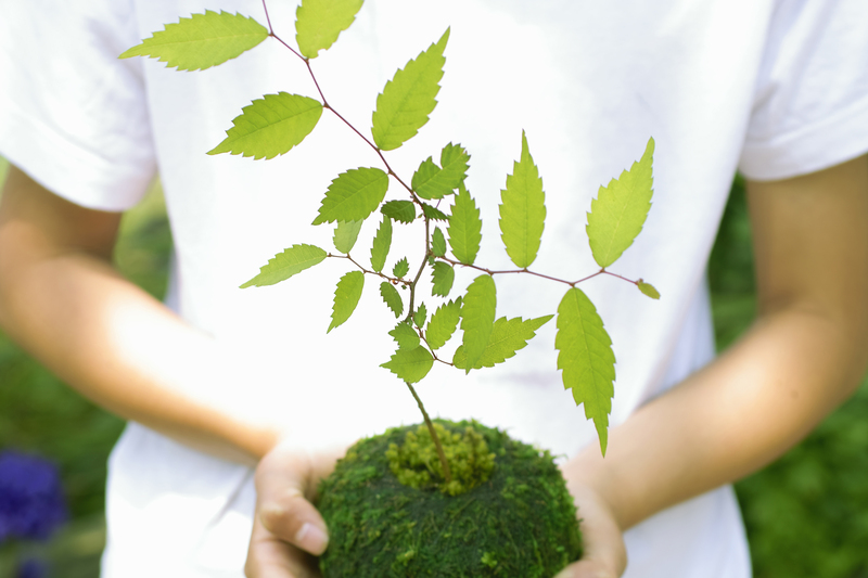 garden care garden